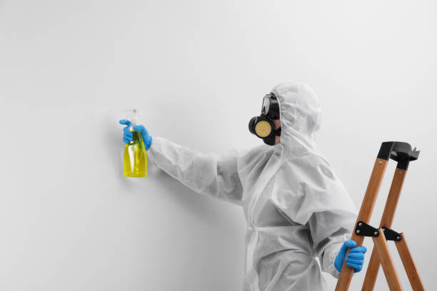 Best Mold Removal for HVAC Installations  in Audubon Park, NJ